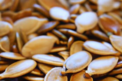 Crunchy & Nutritious: The Magic of Roasted Pumpkin Seeds