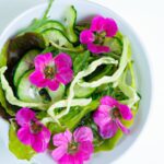 Blooming Flavors: Crafting a Mixed Greens Salad with Edible Flowers